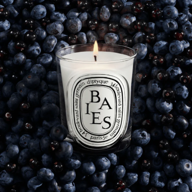 Scented Candle "Baies" by Diptyque