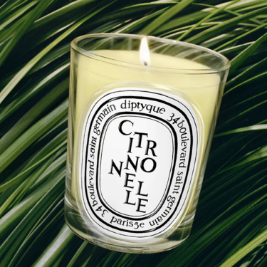 Diptyque Citronnelle