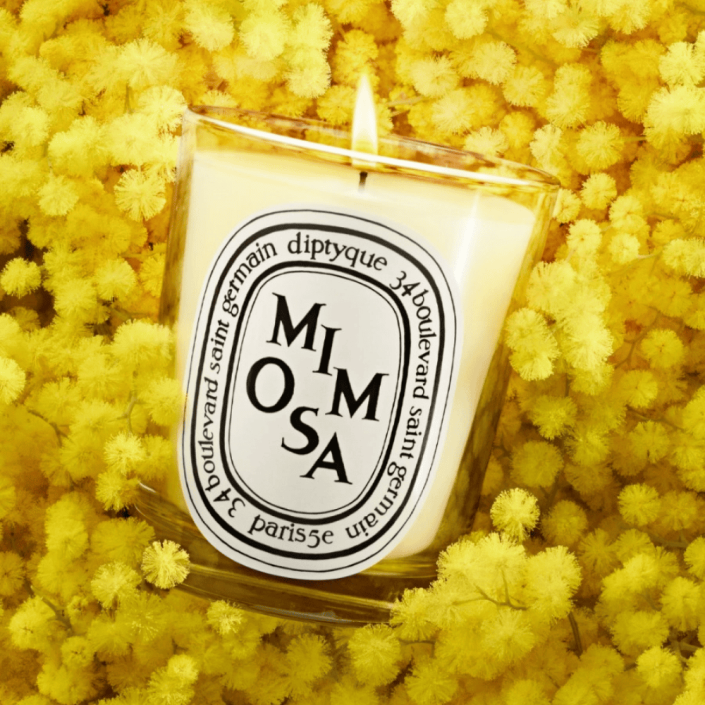 Scented Candle "Mimosa" by Diptyque