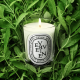 Diptyque Verveine vela perfumada con aroma cítrico