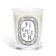 Scented Candle "Figuier" by Diptyque