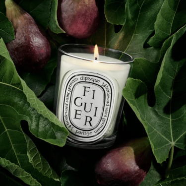 Scented Candle "Figuier" by Diptyque