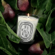 Scented Candle "Figuier" by Diptyque