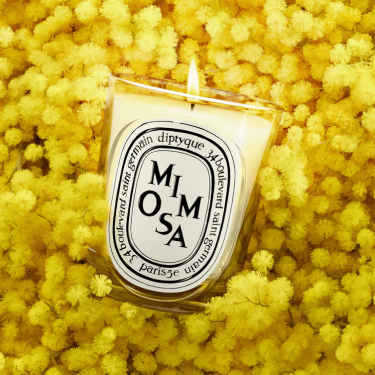 Scented Candle "Mimosa" by Diptyque