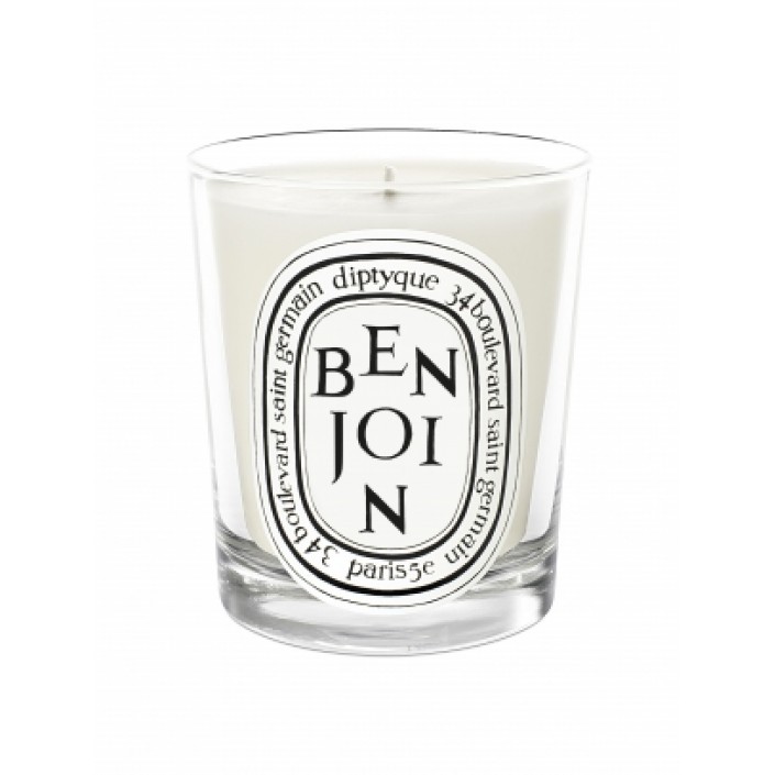 Scented candle BENJOIN 190gr Diptyque