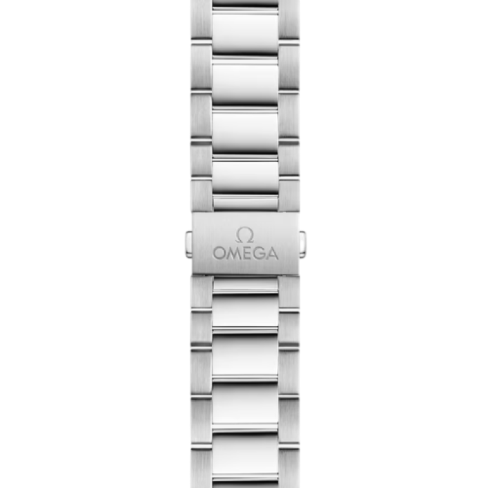 Omega Seamaster Aqua Terra 150M 41mm Stainless Steel Automatic Watch