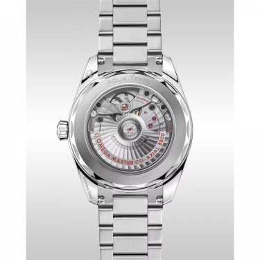 OMEGA Seamaster Aqua Terra 22010382001004 Contemporary Elegance | 38mm Stainless Steel