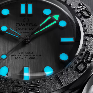 Omega Seamaster Diver 300M 42mm Grey Rubber Watch