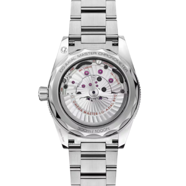 OMEGA Seamaster 300 41mm Stainless Steel Automatic Watch