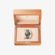 Seamaster Diver 300M Bronze Gold and Titanium 42 mm Watch Omega