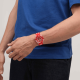 Lion's Mane watch swatch