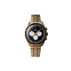 Omega Speedmaster Moonwatch Professional 42 mm en oro Moonshine™ de 18 quilates